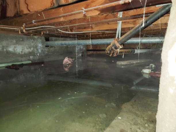 Best Water damage restoration insurance claims  in Plymouth Meeting, PA