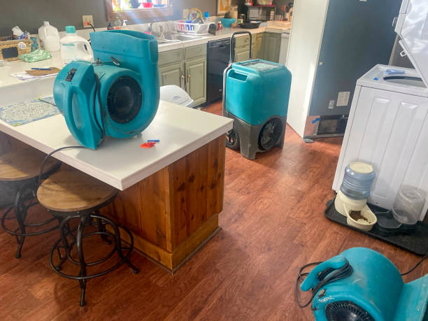 Best Flood damage cleanup  in Plymouth Meeting, PA