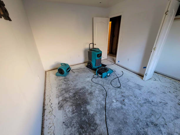 Best Local water damage restoration  in Plymouth Meeting, PA