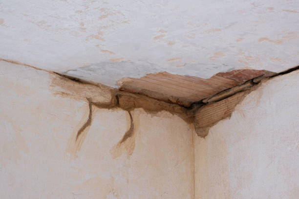 Best Water damage mitigation services  in Plymouth Meeting, PA