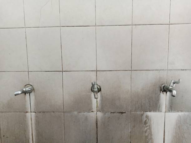 Best Local water damage restoration  in Plymouth Meeting, PA