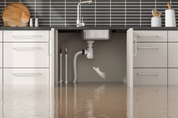 Best Carpet water damage restoration  in Plymouth Meeting, PA