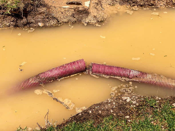 Best Water damage restoration near me  in Plymouth Meeting, PA