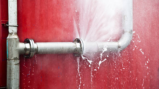 Best Flood damage cleanup  in Plymouth Meeting, PA